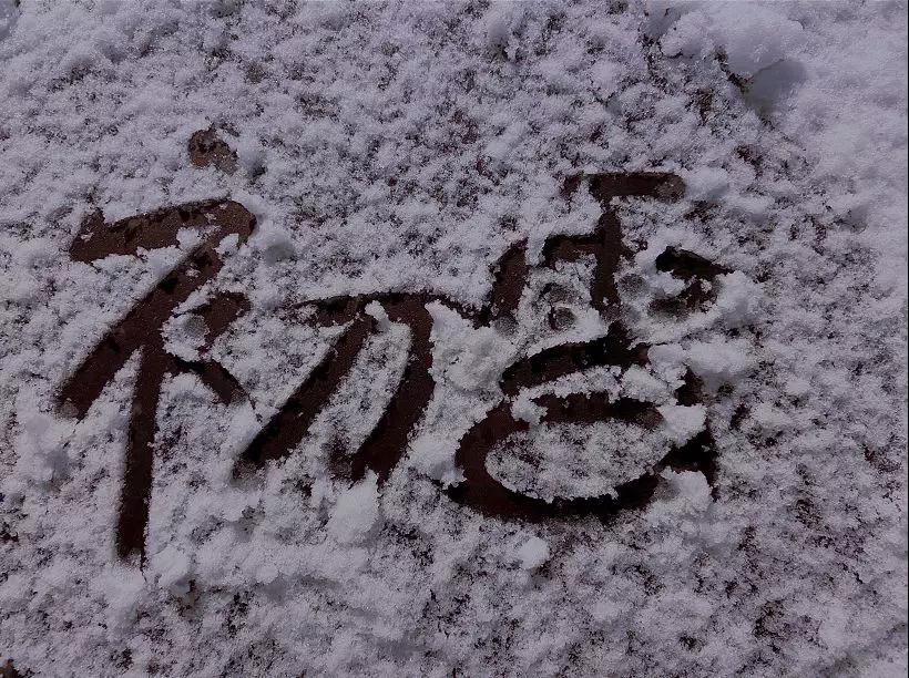 初雪已至，预见不如遇见