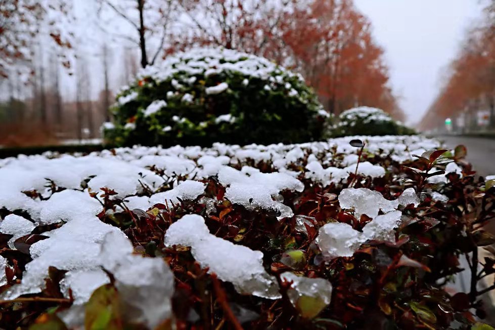 初雪已至，预见不如遇见